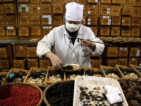 Thị trường thuốc đông y Trung Quốc bùng nổ vì đâu